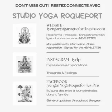 The website is the main platform where you can sign-up for classes and the occasional newsletter, stay updated with the latest. Follow up on FACEBOOK - Iyengar Yoga Roquefort-les-Pins or INSTAGRAM iyrlp